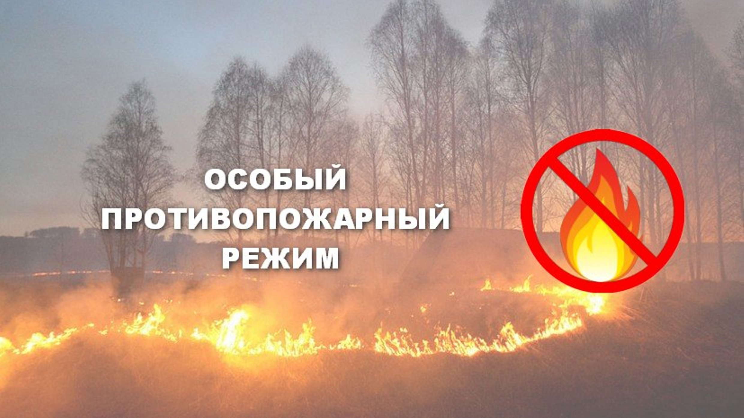 На территории Казачинского района с 19 мая действует особый противопожарный режим..