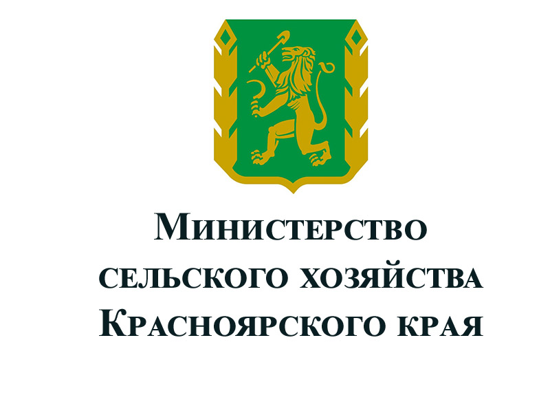 О реализации мероприятий по улучшению жилищных условий молодых семей и молодых специалистов в 2025 году.