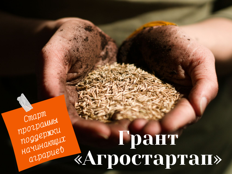 Хорошая новость для фермеров!.