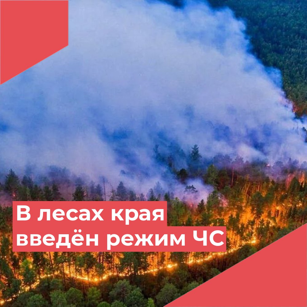 С 6 июня на территории Красноярского края введен режим чрезвычайной ситуации в лесах на основании постановления Правительства Красноярского края..