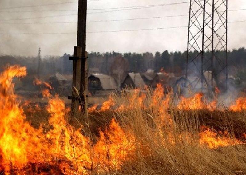 О риске возникновения ландшафтных пожаров.