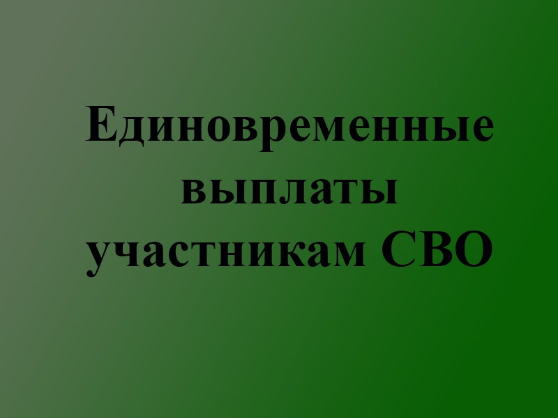 О единовременных выплатах участникам СВО.