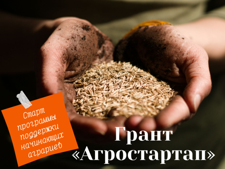 Хорошая новость для фермеров!. Хорошая новость для фермеров!.