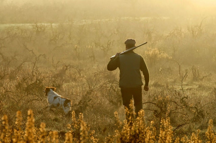 МИНИСТЕРСТВО природных ресурсов и лесного комплекса Красноярского края информирует об изменении порядка распределения  разрешений на охоту.