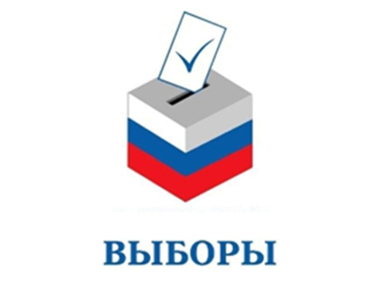 Стартовала избирательная кампания по дополнительным выборам депутата Законодательного Собрания Красноярского края.